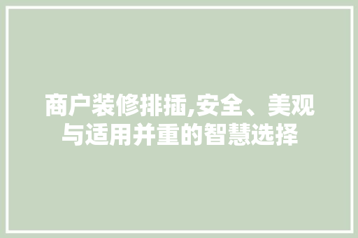 商户装修排插,安全、美观与适用并重的智慧选择