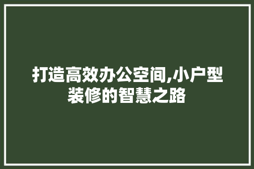 打造高效办公空间,小户型装修的智慧之路