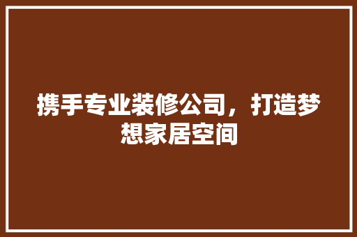 携手专业装修公司，打造梦想家居空间