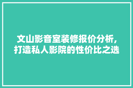 文山影音室装修报价分析,打造私人影院的性价比之选