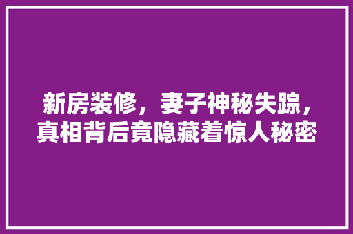 新房装修，妻子神秘失踪，真相背后竟隐藏着惊人秘密