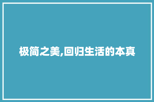 极简之美,回归生活的本真 推拉门
