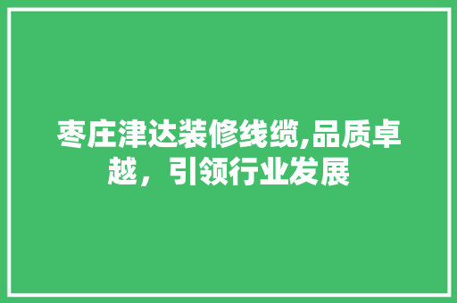 枣庄津达装修线缆,品质卓越，引领行业发展