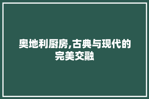奥地利厨房,古典与现代的完美交融 折叠门