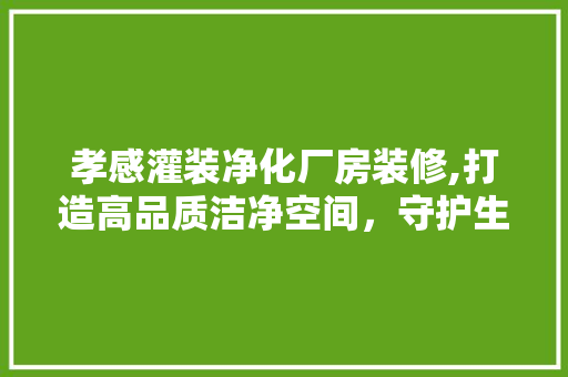 孝感灌装净化厂房装修,打造高品质洁净空间，守护生命健康