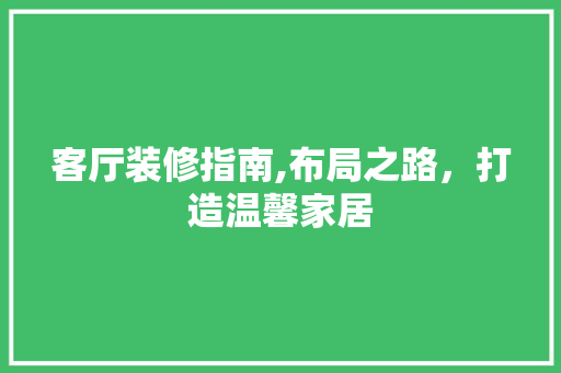 客厅装修指南,布局之路，打造温馨家居