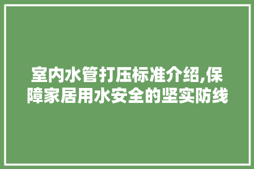室内水管打压标准介绍,保障家居用水安全的坚实防线