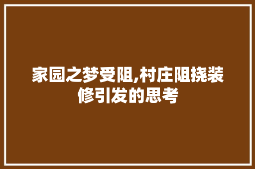 家园之梦受阻,村庄阻挠装修引发的思考