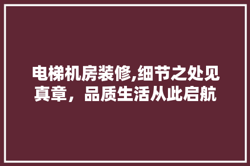 电梯机房装修,细节之处见真章，品质生活从此启航