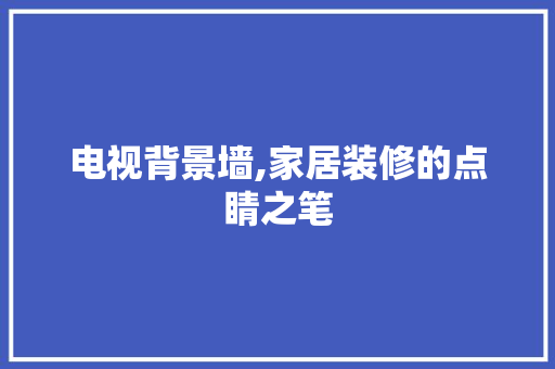 电视背景墙,家居装修的点睛之笔