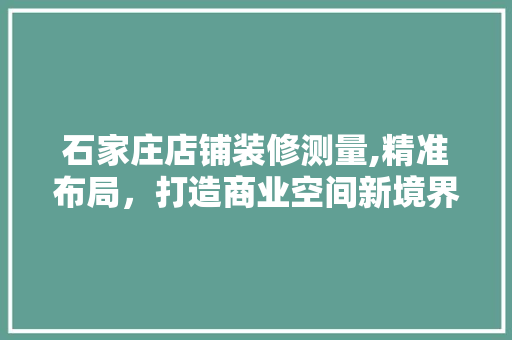 石家庄店铺装修测量,精准布局，打造商业空间新境界