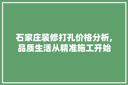 石家庄装修打孔价格分析,品质生活从精准施工开始