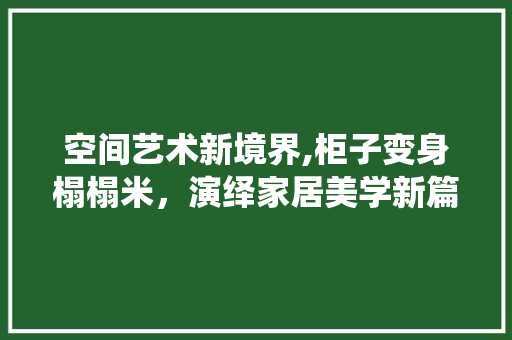 空间艺术新境界,柜子变身榻榻米，演绎家居美学新篇章