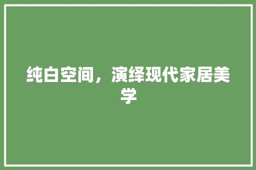 纯白空间，演绎现代家居美学