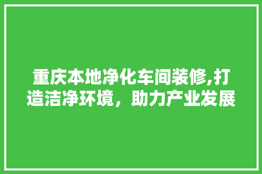 重庆本地净化车间装修,打造洁净环境，助力产业发展