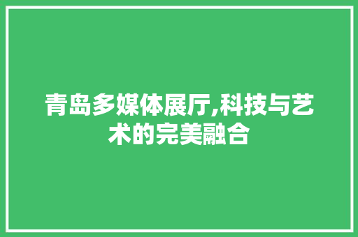 青岛多媒体展厅,科技与艺术的完美融合