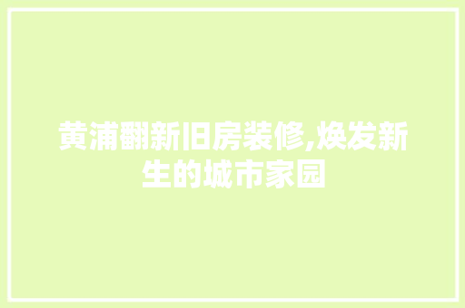 黄浦翻新旧房装修,焕发新生的城市家园