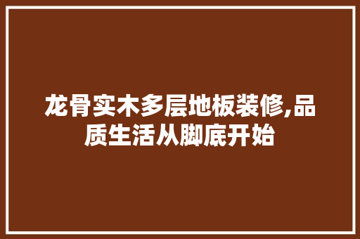 龙骨实木多层地板装修,品质生活从脚底开始