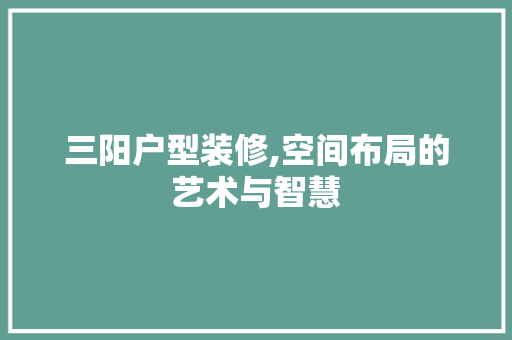 三阳户型装修,空间布局的艺术与智慧 实木门