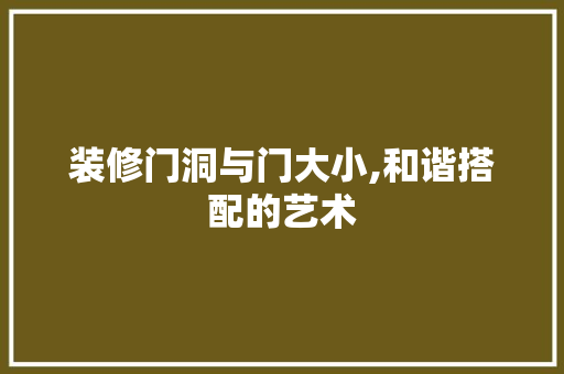 装修门洞与门大小,和谐搭配的艺术
