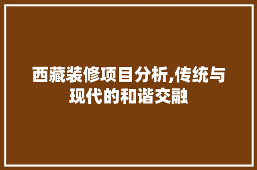 西藏装修项目分析,传统与现代的和谐交融