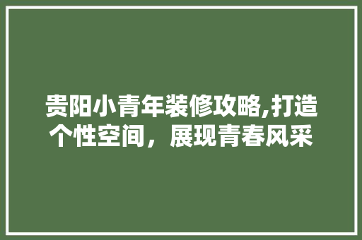 贵阳小青年装修攻略,打造个性空间，展现青春风采