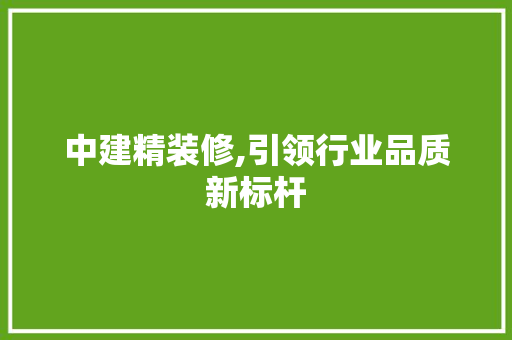 中建精装修,引领行业品质新标杆
