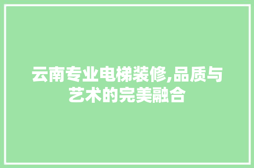 云南专业电梯装修,品质与艺术的完美融合
