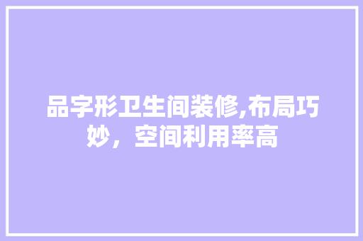 品字形卫生间装修,布局巧妙，空间利用率高