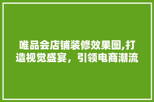 唯品会店铺装修效果图,打造视觉盛宴，引领电商潮流 铝合金门
