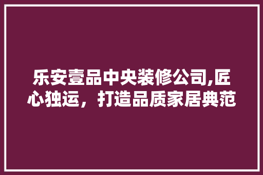 乐安壹品中央装修公司,匠心独运，打造品质家居典范