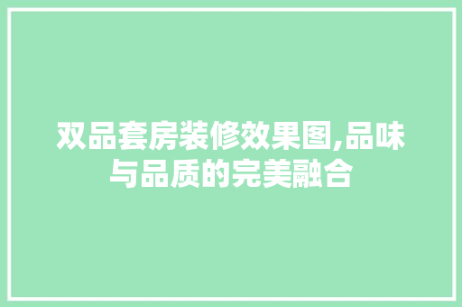双品套房装修效果图,品味与品质的完美融合