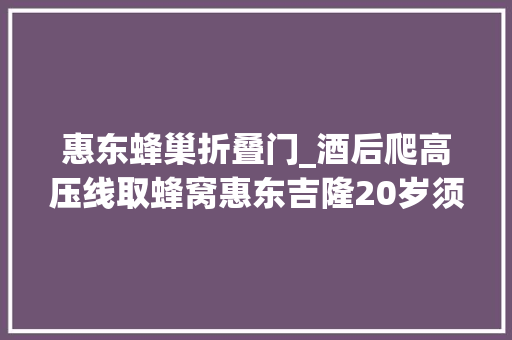 惠东蜂巢折叠门_酒后爬高压线取蜂窝惠东吉隆20岁须眉双手被烧伤 铝合金门