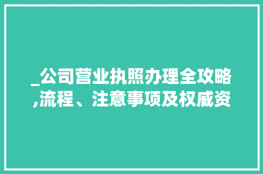 _公司营业执照办理全攻略,流程、注意事项及权威资料解读__公司营业执照怎么办理 折叠门