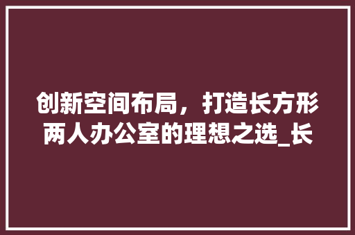 创新空间布局，打造长方形两人办公室的理想之选_长方形两人办公室设计布局