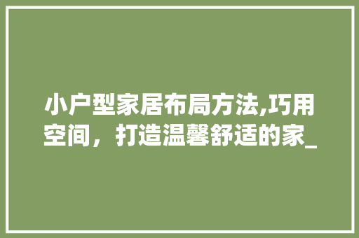 小户型家居布局方法,巧用空间，打造温馨舒适的家_小户型家具摆放图片