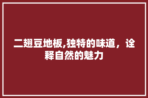 二翅豆地板,独特的味道，诠释自然的魅力