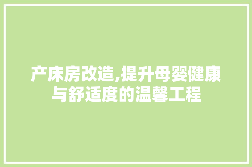 产床房改造,提升母婴健康与舒适度的温馨工程