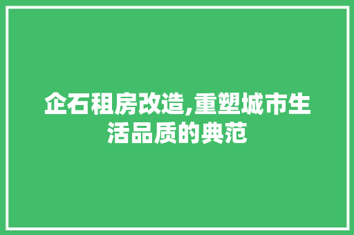 企石租房改造,重塑城市生活品质的典范