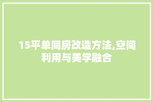 15平单间房改造方法,空间利用与美学融合 复合门