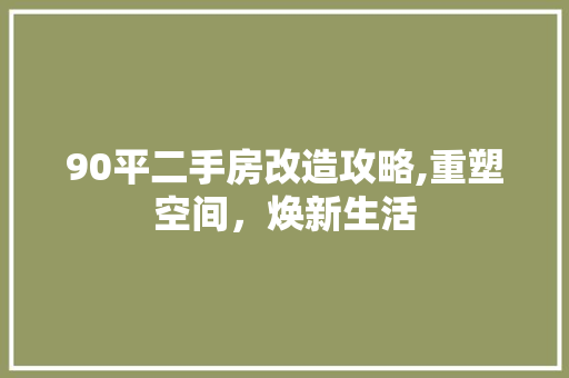 90平二手房改造攻略,重塑空间，焕新生活 防火门