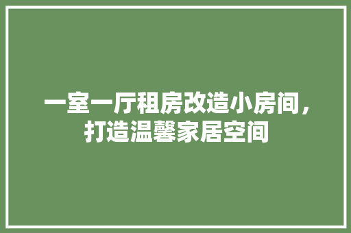 一室一厅租房改造小房间，打造温馨家居空间
