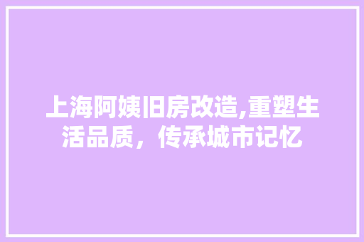 上海阿姨旧房改造,重塑生活品质，传承城市记忆