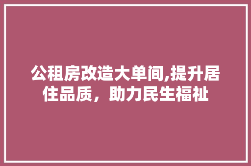 公租房改造大单间,提升居住品质，助力民生福祉