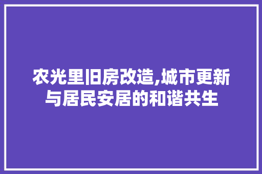 农光里旧房改造,城市更新与居民安居的和谐共生 实木门