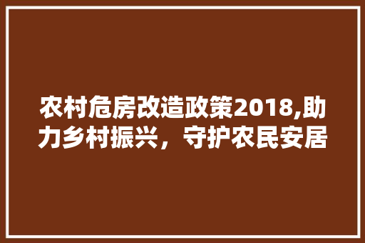 农村危房改造政策2018,助力乡村振兴，守护农民安居乐业 实木门