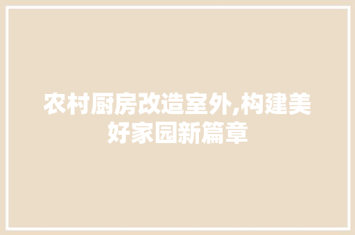 农村厨房改造室外,构建美好家园新篇章