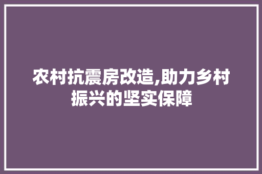 农村抗震房改造,助力乡村振兴的坚实保障