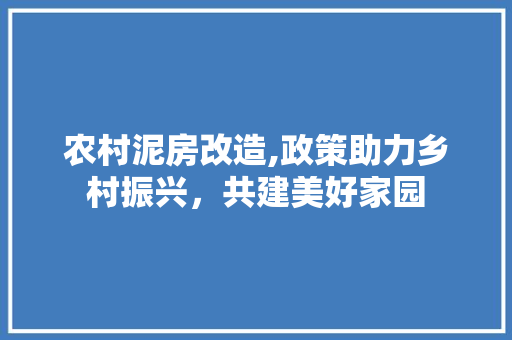 农村泥房改造,政策助力乡村振兴，共建美好家园 防火门