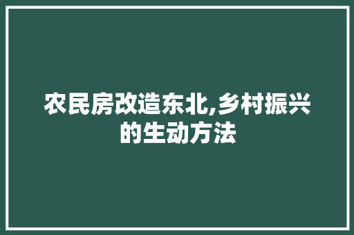 农民房改造东北,乡村振兴的生动方法